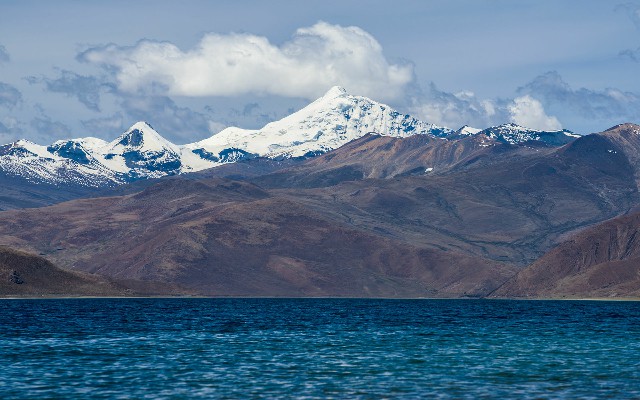 沐浴露抖音月付商家_羊小咩享花卡如何提现出来