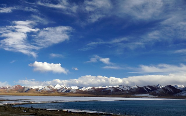 深圳医保提现商家_花呗线下合作商家