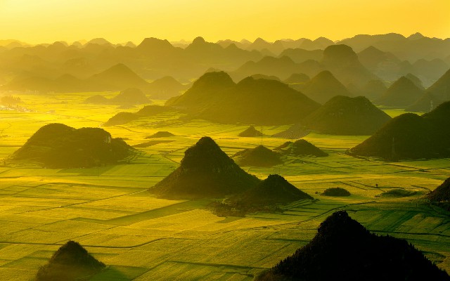 商家白条被停_花呗自己提现