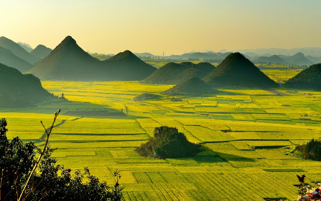 花呗怎么套1000_花呗可以转微信吗