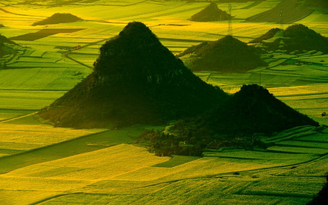 商家如何支持白条收款_花呗额度券苹果怎么套