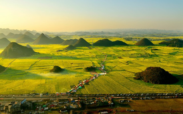 商家 花呗分期_羊小咩京优福卡能出吗