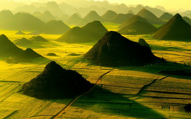 2024花呗图片_白条变现2021