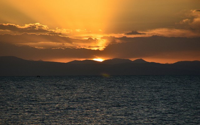 漳州抖音月付套现骗局_白条取现 下线