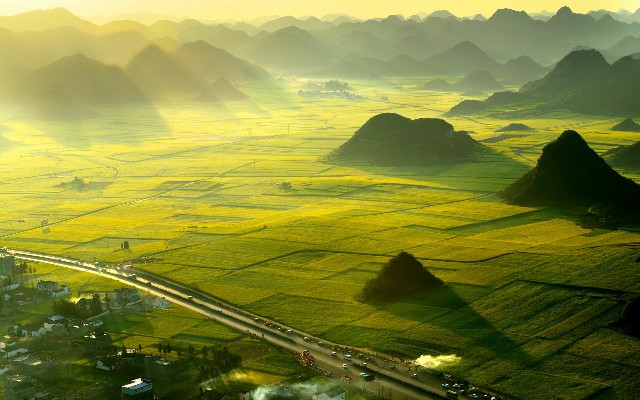 冻结白条怎么取出来_全国严查医保套现