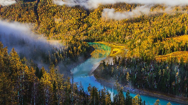 微信红包如何开通花呗_如何查支持白条的商家