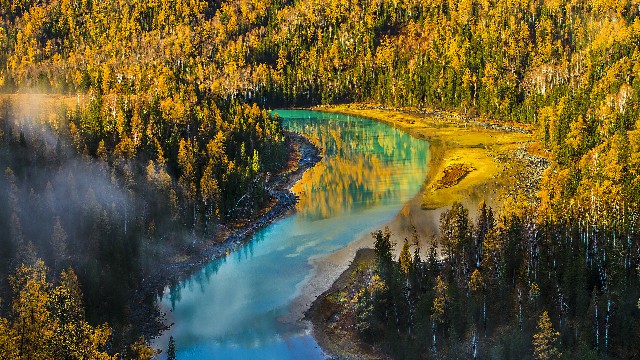 抖音月付可用的商家腰带_花呗 大量套