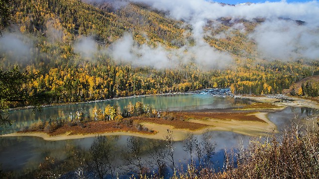 羊小咩油什么时候出库_抖音月付提现功能怎么开通