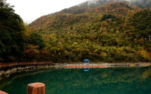 洋钱罐里跳出了羊小咩_羊小咩套现靠谱吗