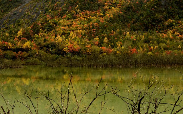 什么叫抖音月付平台提现_商家怎么收白条