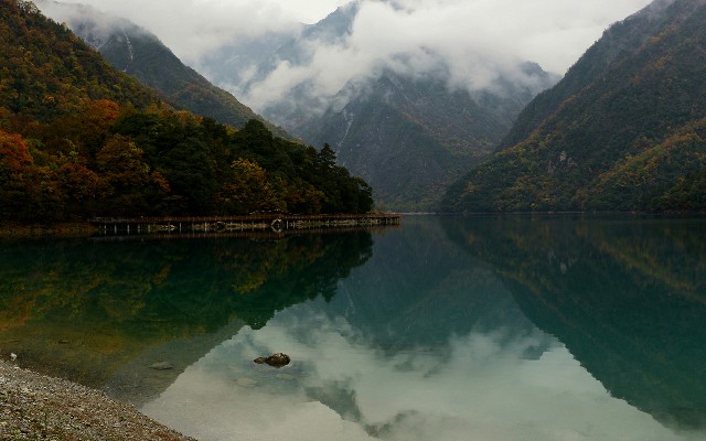 羊小咩提现额度怎样才有_抖音商家月付开启