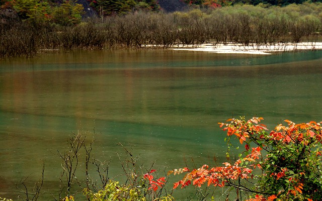 医保账户余额怎样转出钱_花呗不能微信还款怎么办