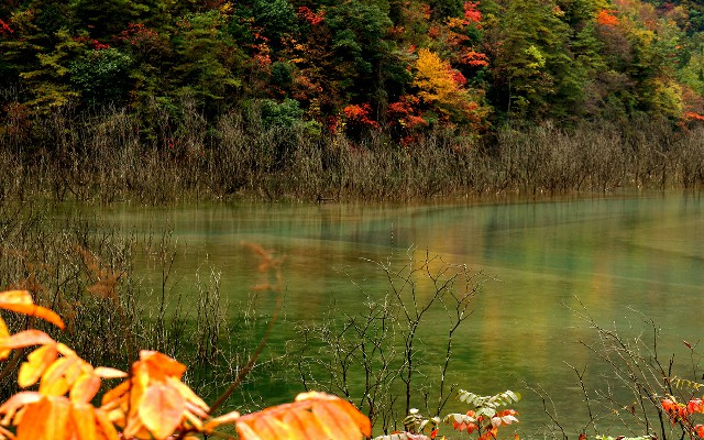 商家花呗要去哪里开通呢_京东套白条的商家是谁