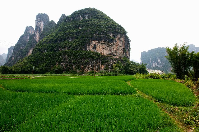淘宝抖音月付怎么套出来_网上白条套现方法