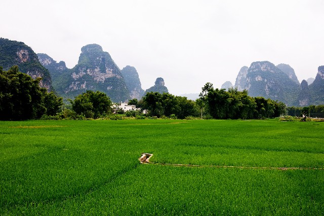 羊小咩上消费额如何套现_羊小咩套现秒回要下款流程详解