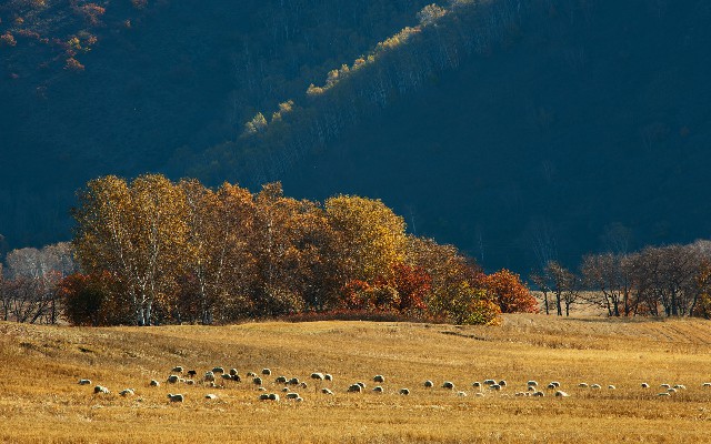 花呗如何存入银行卡里_抖音月付商家提现