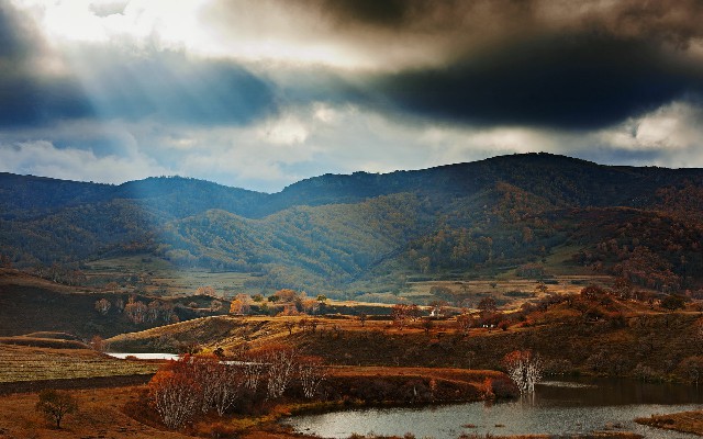 商家怎么签约抖音月付_白条购票套现