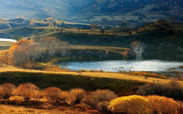 支持抖音月付的抖音商家_常德白条套现