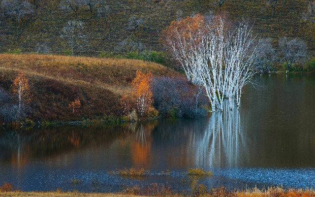 惠州白条提现_微信里的花呗怎么弄
