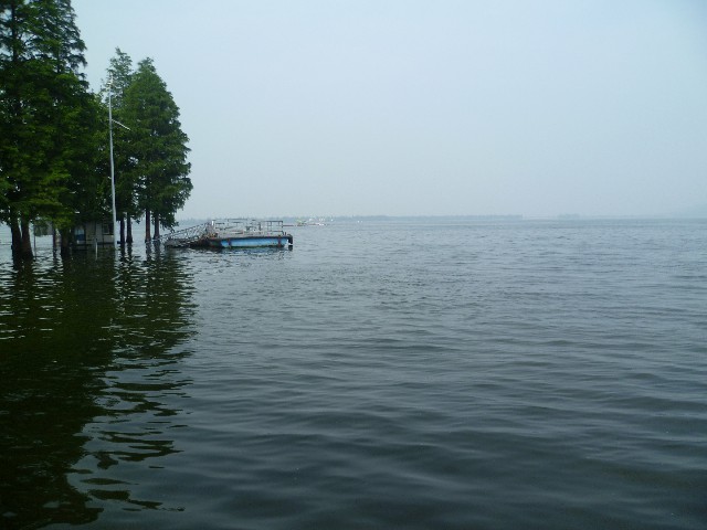 抖音里面的月付提现是真的吗_商家码怎样关闭花呗分期