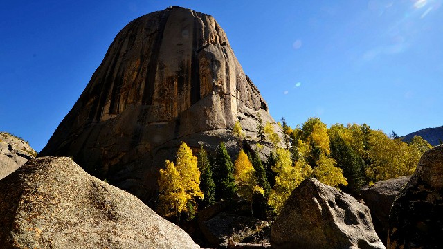 天津市内京东白条提现_白条如何提取现金