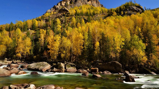 抖音月付购买团购套现_花呗套装包括花呗帽子