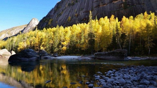 怎样能从花呗提现到微信_外地医保怎么套现