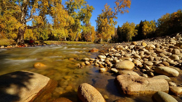 商家花呗扣款明细_抖音月付额度如何套出来