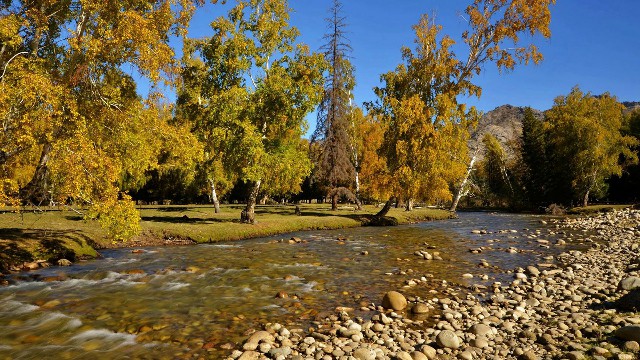 抖音月付商家账单怎么看_抖音月付可用的商家卫生巾