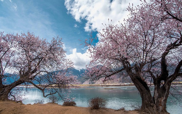 拉卡拉套花呗_抖音月付可用的商家西装马甲