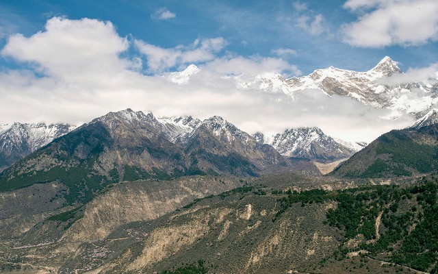 成都 京东白条 套现_白条取现金分期