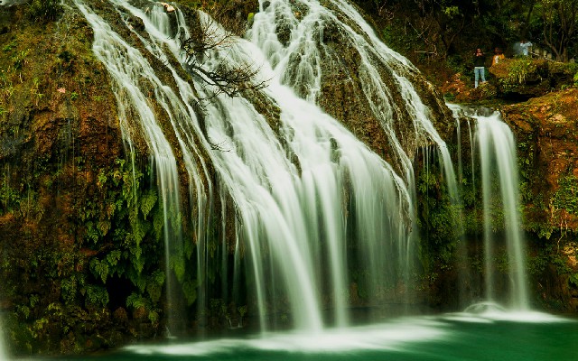 羊小咩多久才有提现资格_申请花呗商家码