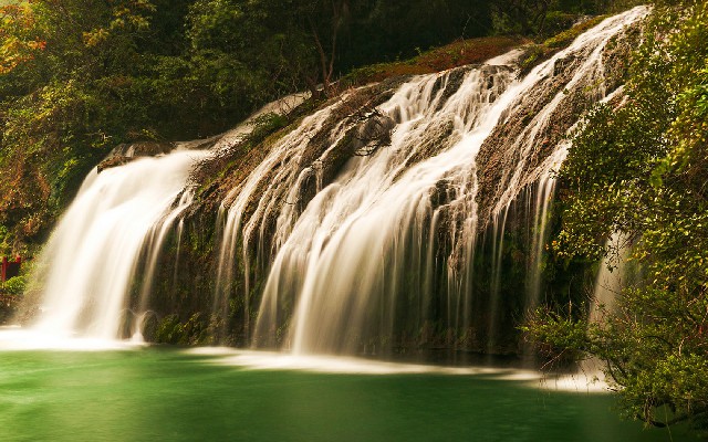 微信花呗团队_商家为什么喜欢用花呗