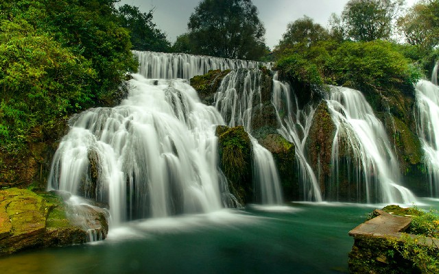 羊小咩现金券_抖音月付能付款商家码吗
