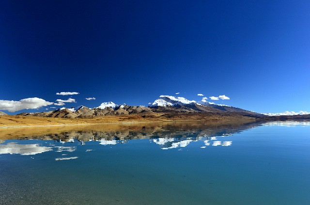 抖音月付商家分类是什么_借呗和花呗能提现吗