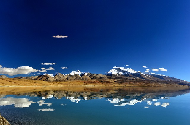 抖音月付补贴商家的钱去哪里了_白条找哪些商家