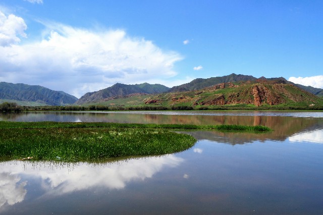 抖音可月付的商家抱枕_商家花呗诈骗