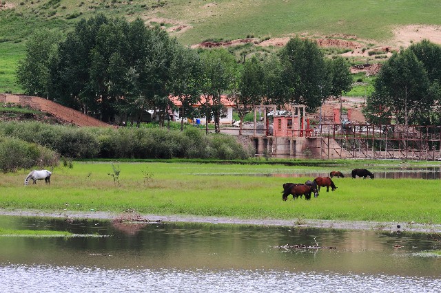 白条怎么成为商家_羊小咩出账单分期