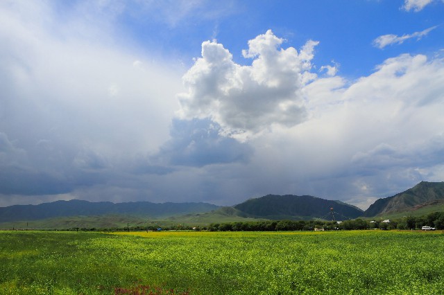 白条借款商家_花呗能在微信上花吗