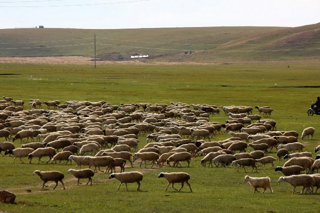 个人医保余额可否取出_联通套餐花呗手机