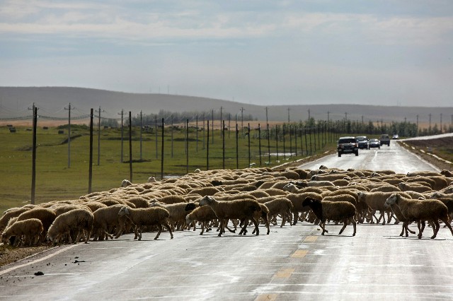 提现京东白条_花呗分期专套