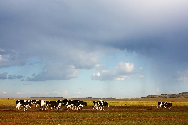 附近白条兑现商家_商家抖音月付怎么打开的