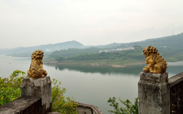 羊小咩的出资方是_郑州抖音月付套现公司