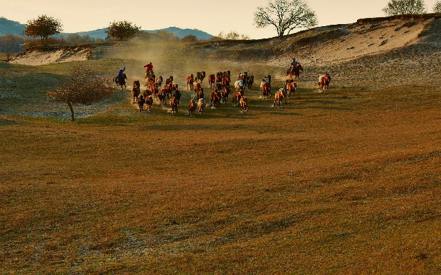 抖音月付的商家苹果表带_支付宝商家怎么收款花呗