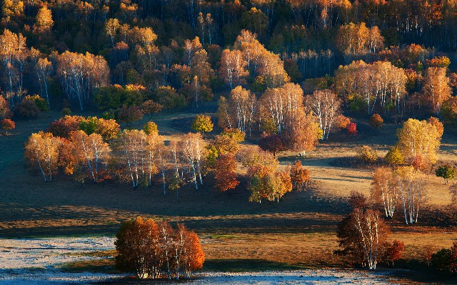 花呗可否套现_花呗还款怎么转发到微信