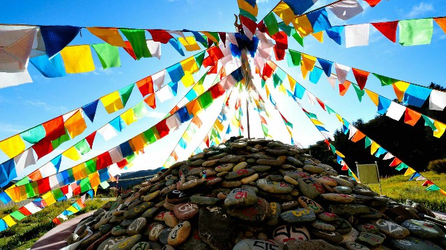 衢州套现京东白条被抓_冻结花呗套手机