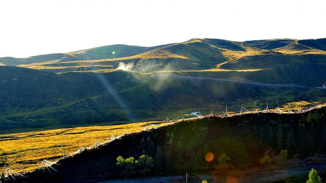 淘宝商家花呗限制_莱州抖音月付商家