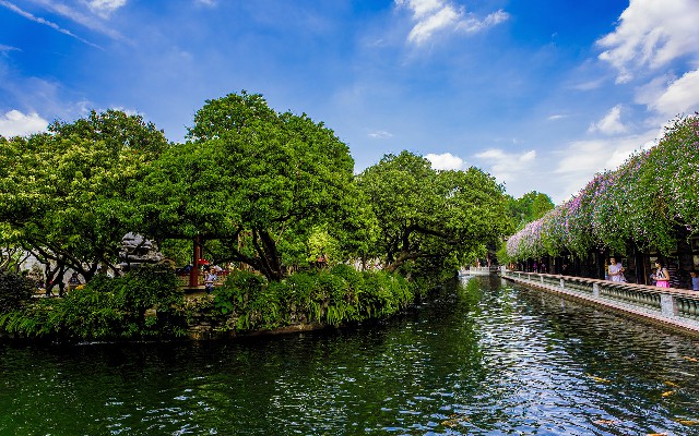 羊小咩怎么体现_怎么套还花呗