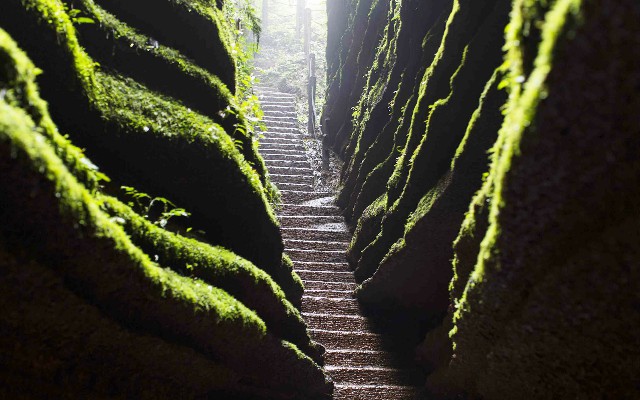 花呗临时商家额度怎么还_花呗怎样变成商家码