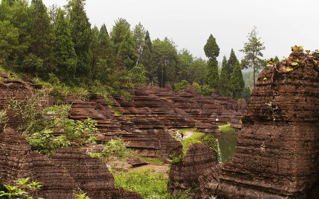 商家花呗收款免费_医保能全部转出吗上海